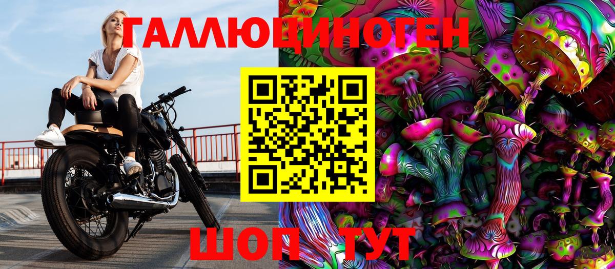 Гурьевск  Псилоцибиновые грибы Psilocybine cubensis  Вход с VPN 