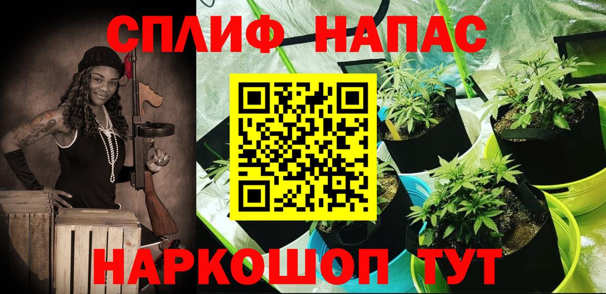 Гурьевск  Марихуана семена  МАРИХУАНА Amnesia  Вход с VPN  Марихуана ГИДРОПОН 